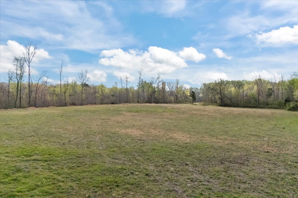 1759 McKelvy Road Camden, TN 38320 - Photo 5 of 20 a view of a yard