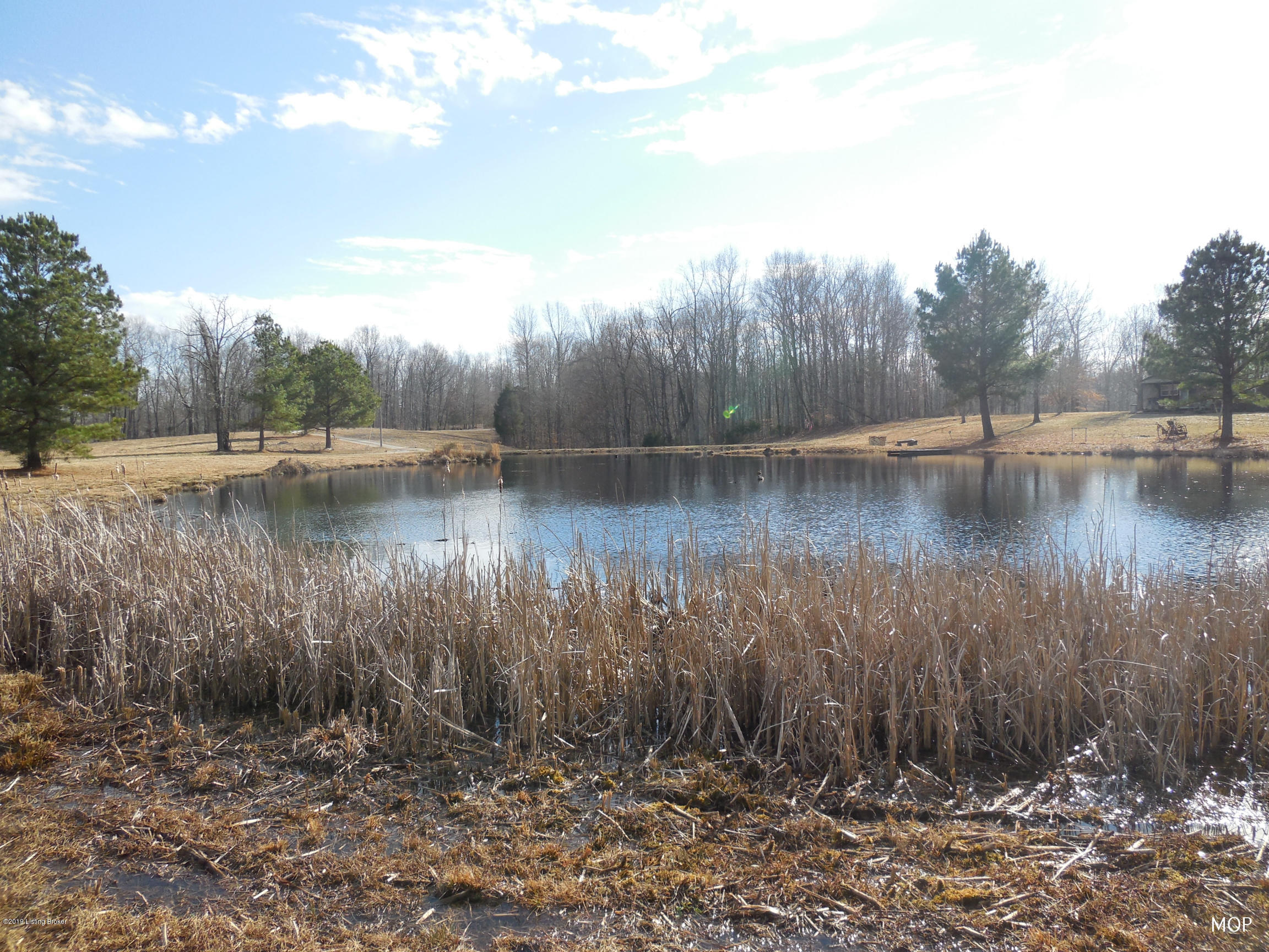 5498 Reese Hurt Road Breeding, KY 42715 - Photo 23 of 41 Pond 5