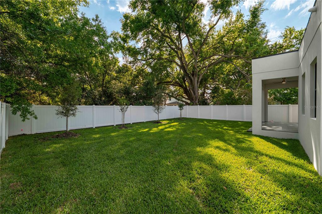 3104 West Pine Street Tampa, FL 33607 - Photo 5 of 57