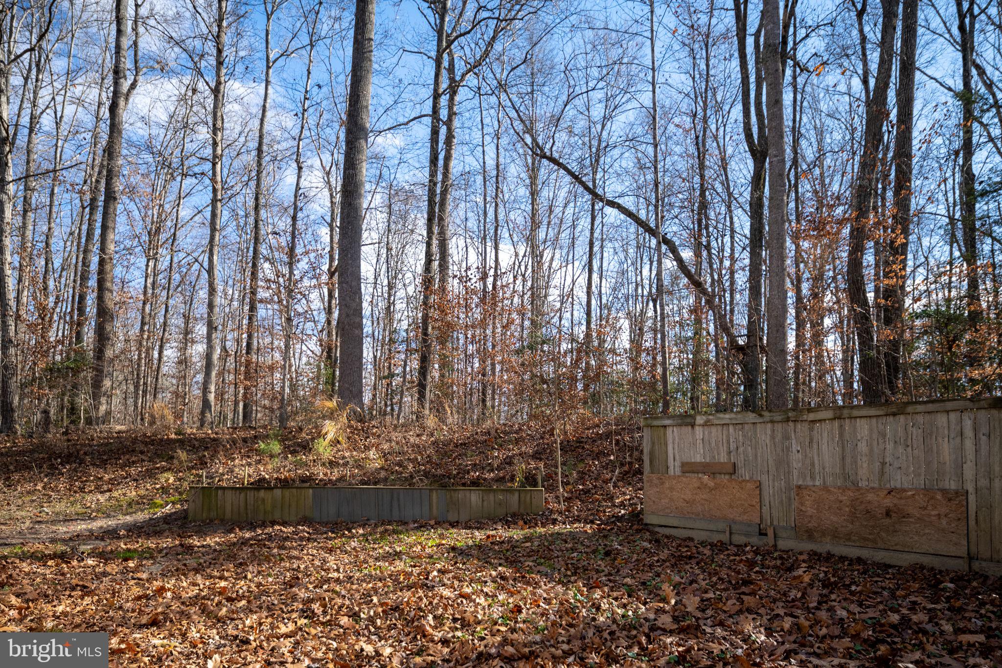 26335 Hill Road Ruther Glen, VA 22546 - Photo 23 of 31 Gallery Image 23