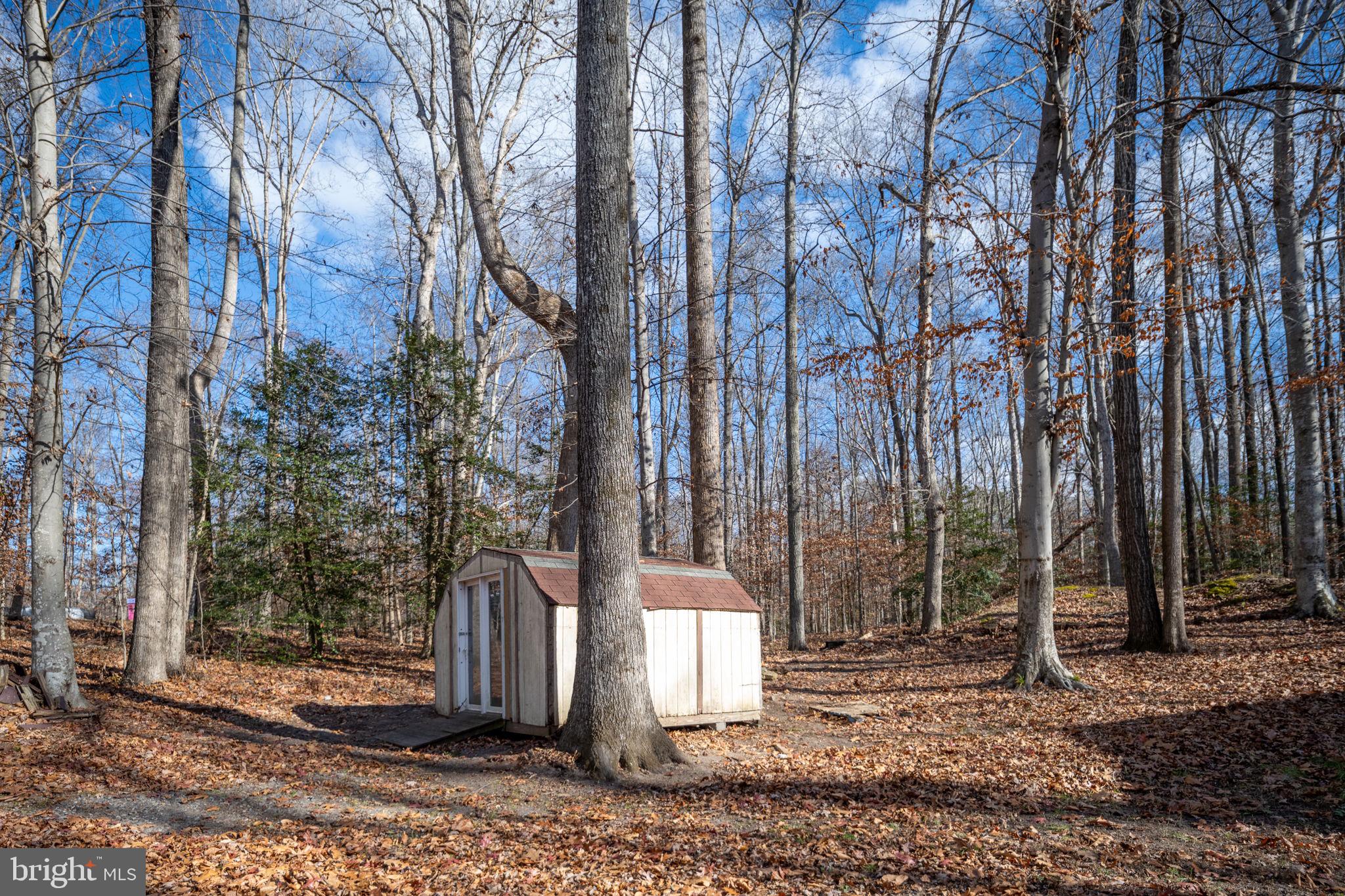 26335 Hill Road Ruther Glen, VA 22546 - Photo 25 of 31 Gallery Image 25