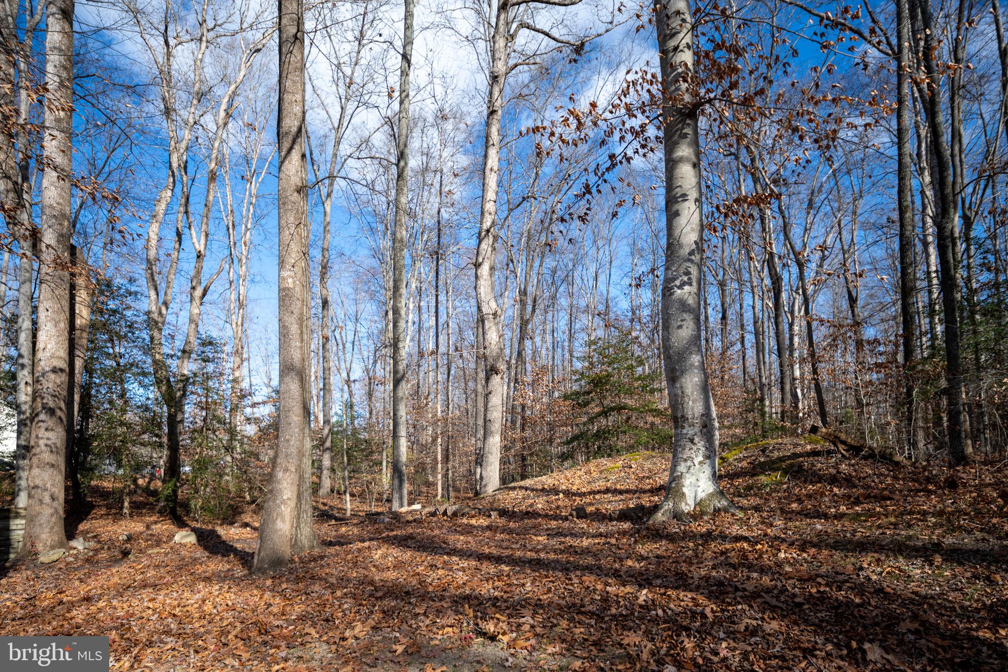 26335 Hill Road Ruther Glen, VA 22546 - Photo 26 of 31 Gallery Image 26