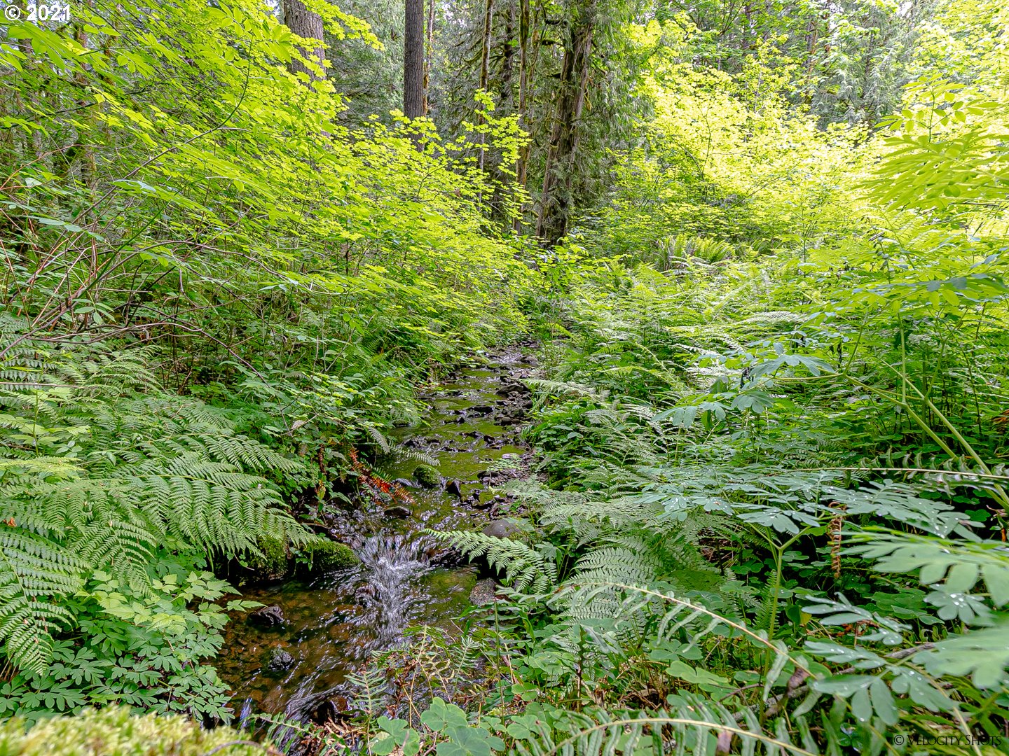 64725 East Broken Bridge Lane Rhododendron, OR 97049 - Photo 28 of 32