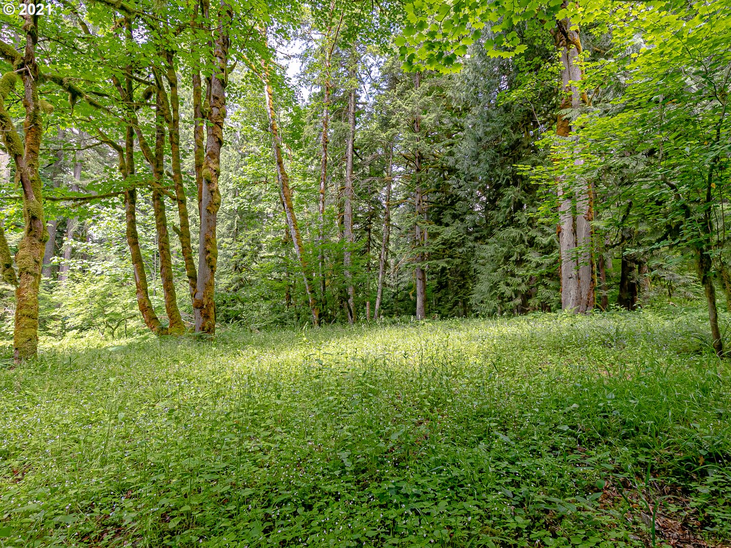 64725 East Broken Bridge Lane Rhododendron, OR 97049 - Photo 31 of 32