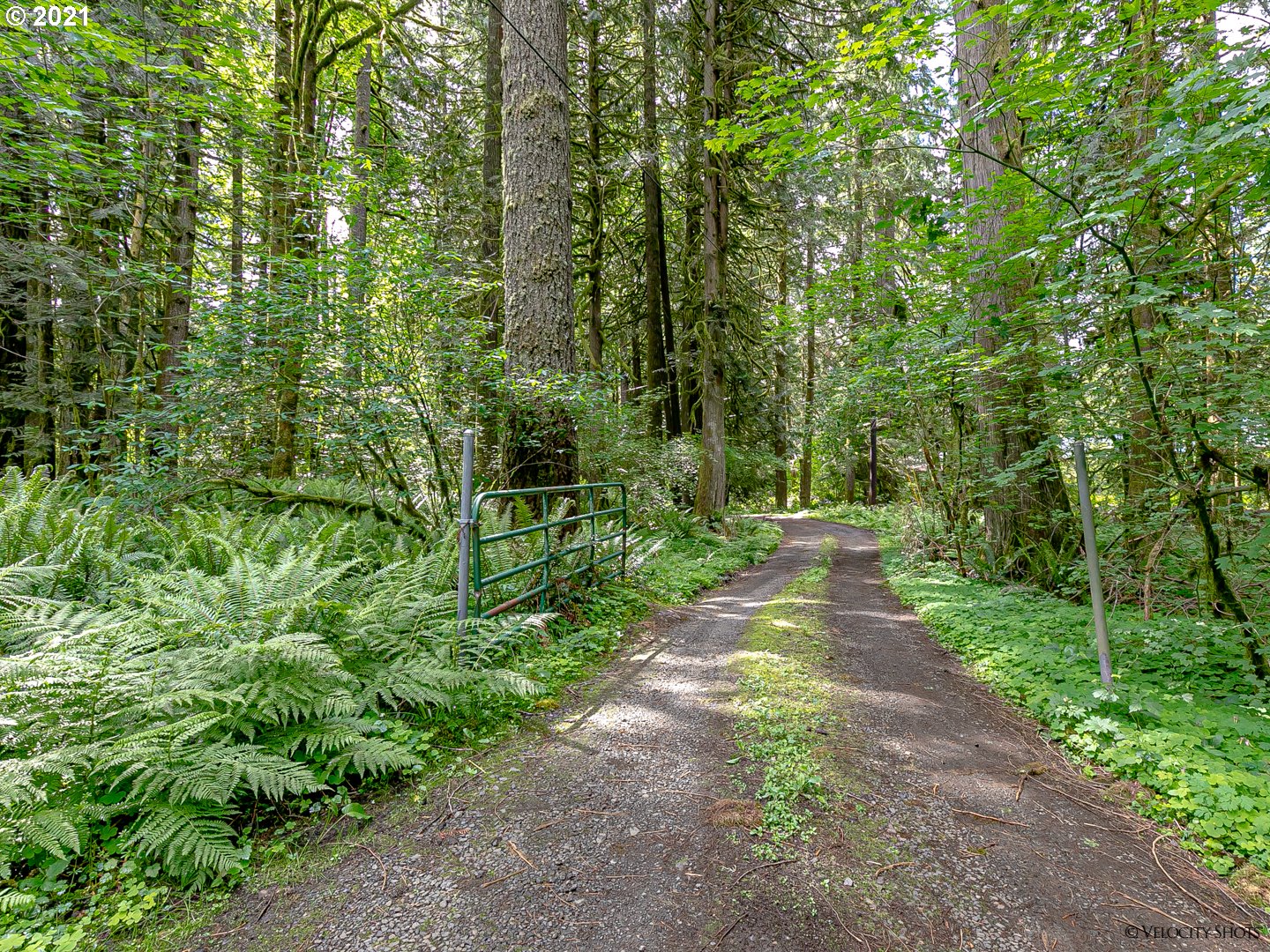 64725 East Broken Bridge Lane Rhododendron, OR 97049 - Photo 6 of 32