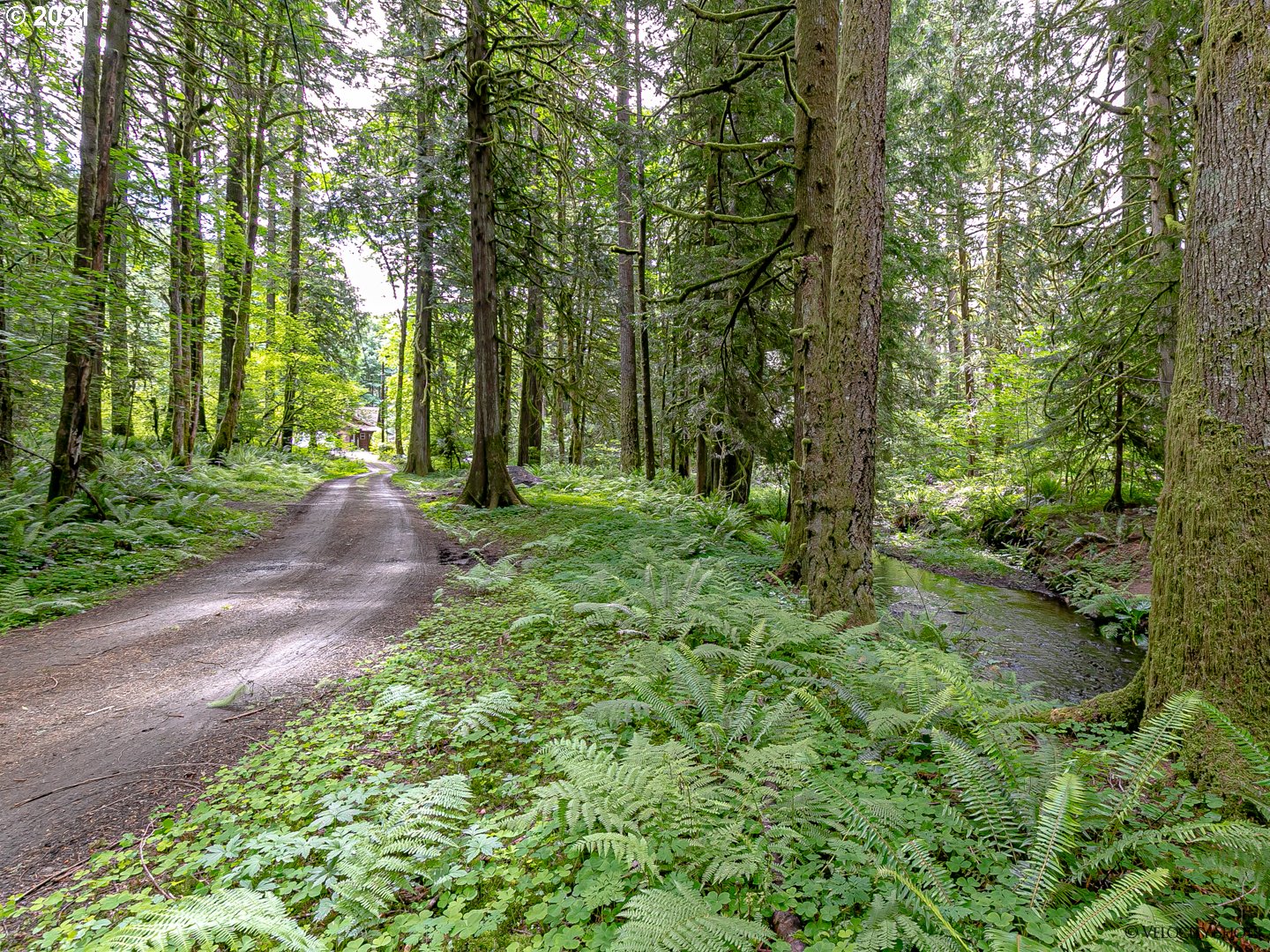 64725 East Broken Bridge Lane Rhododendron, OR 97049 - Photo 7 of 32
