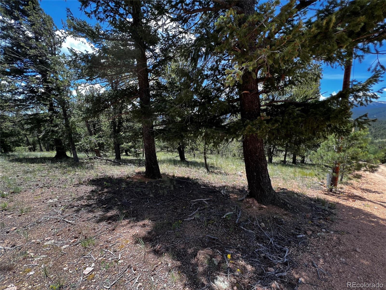 76 Baker Road Bailey, CO 80421 - Photo 7 of 7 Gallery Image 7