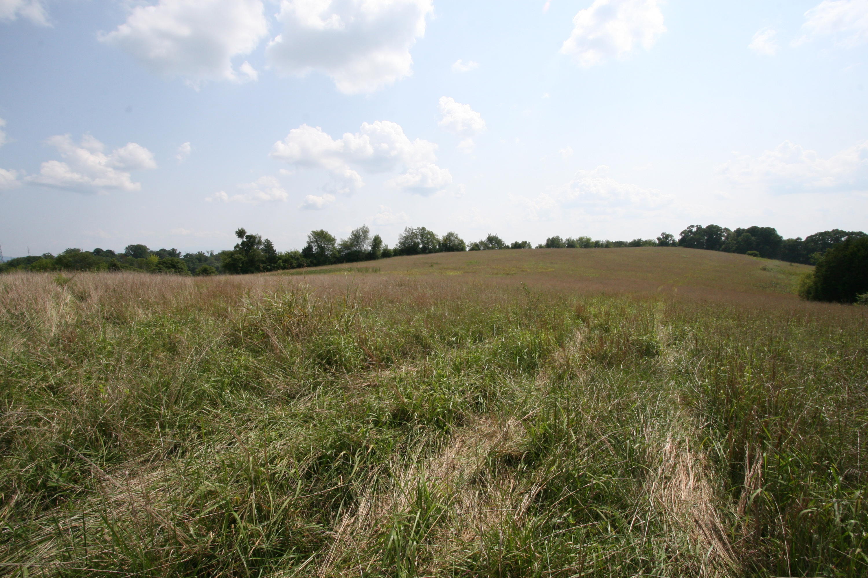 1265 Meadow Road Greenback, TN 37742 - Photo 11 of 40 IMG_9882