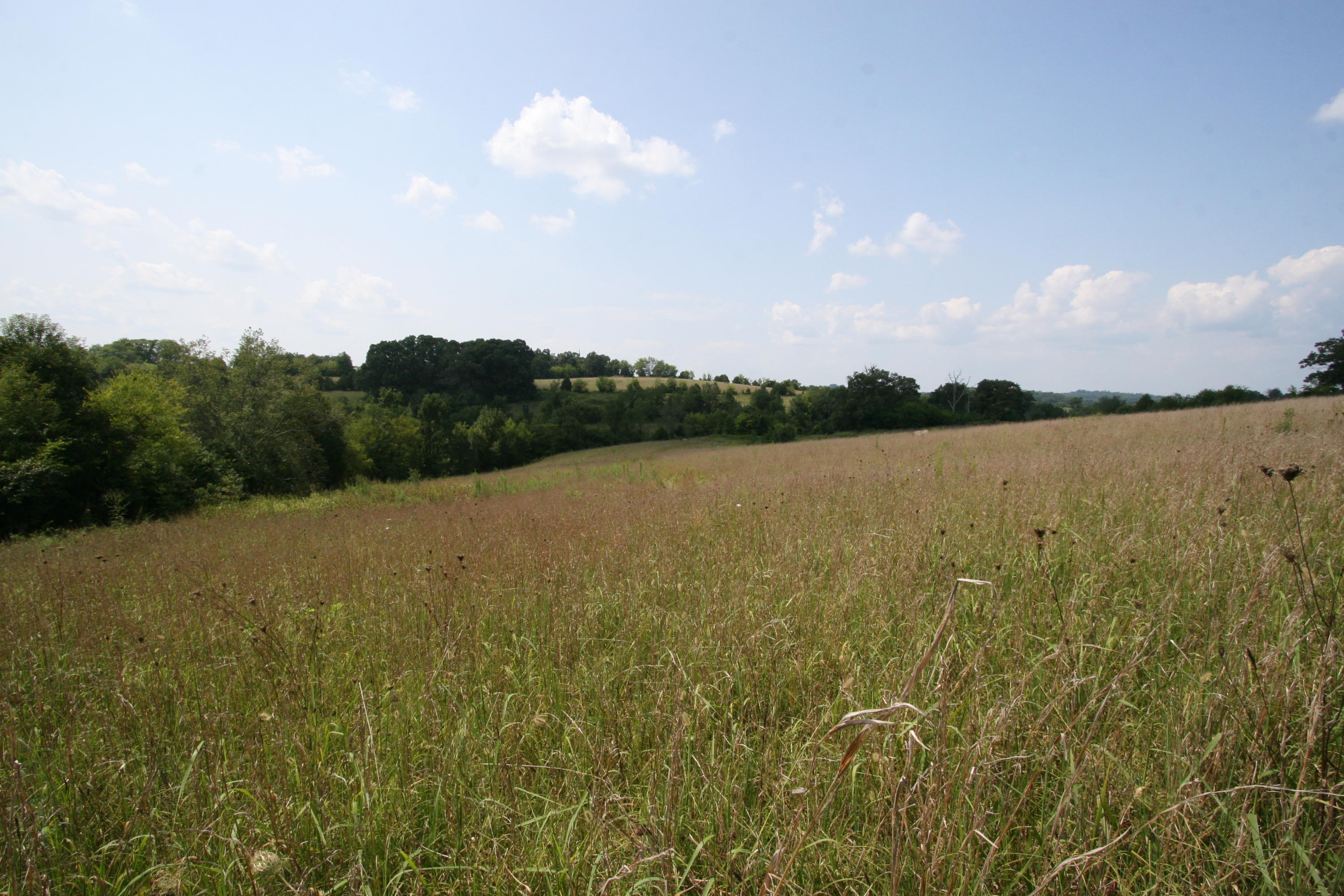 1265 Meadow Road Greenback, TN 37742 - Photo 14 of 40 IMG_9874