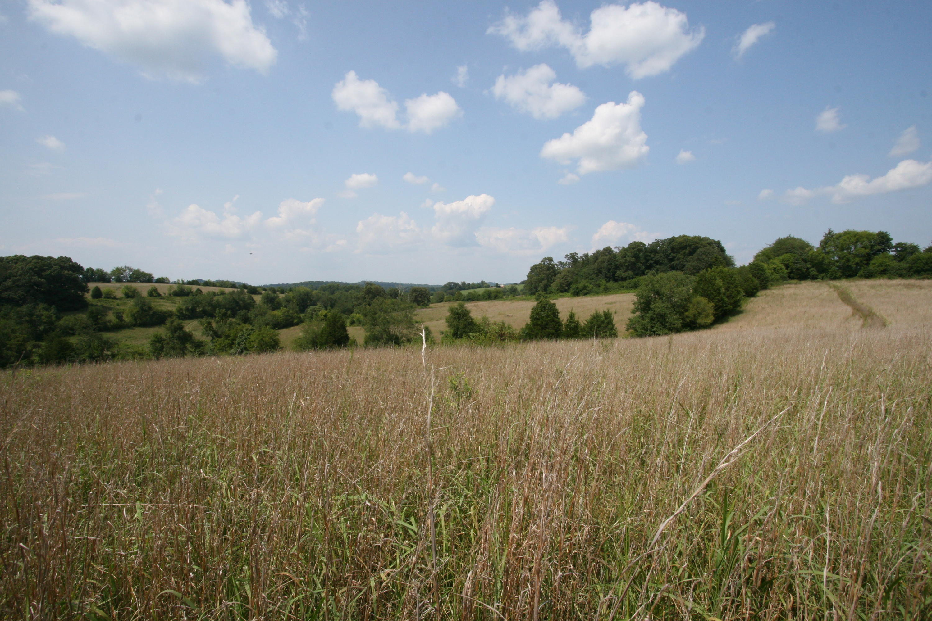 1265 Meadow Road Greenback, TN 37742 - Photo 15 of 40 IMG_9886