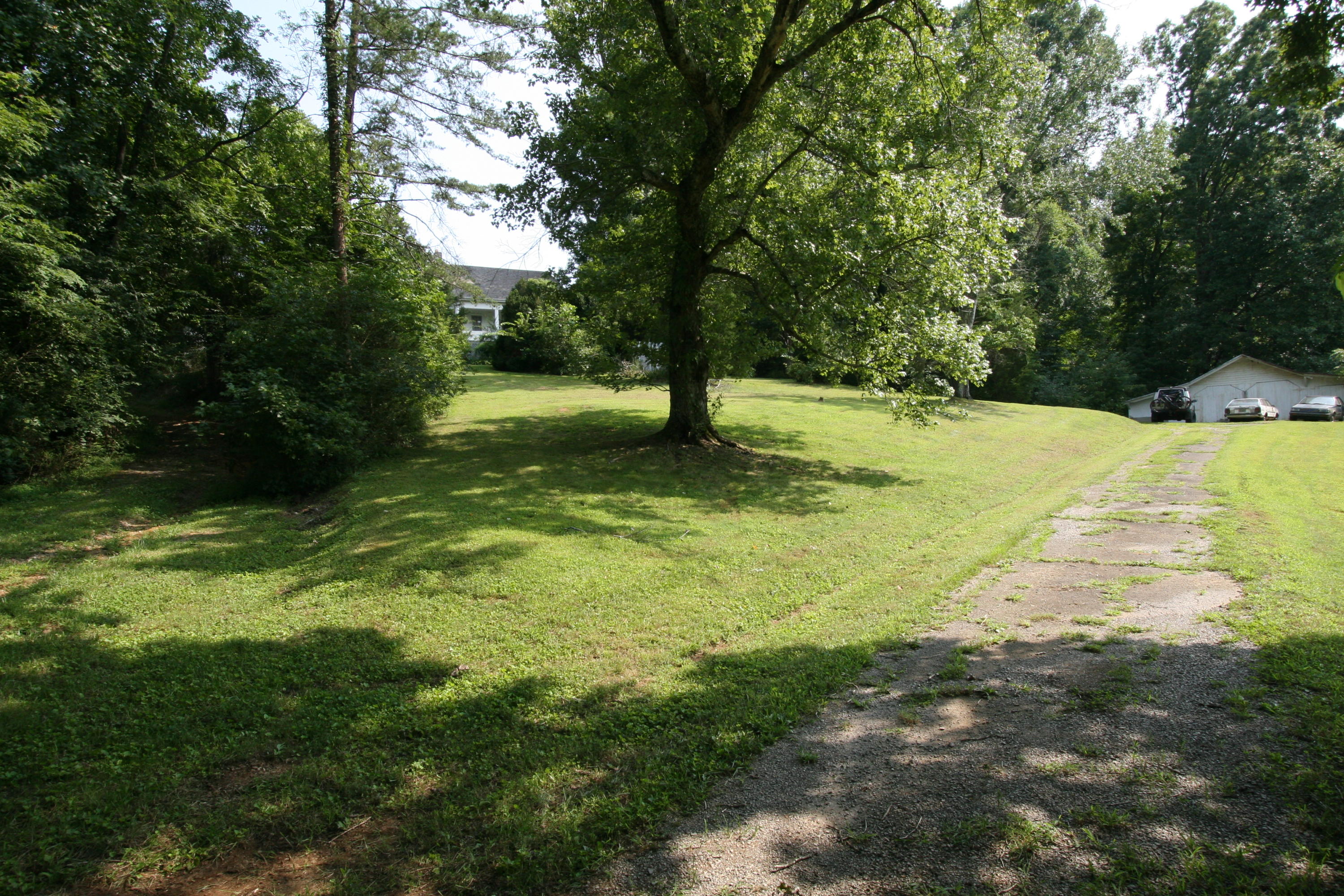 1265 Meadow Road Greenback, TN 37742 - Photo 3 of 40 IMG_9777