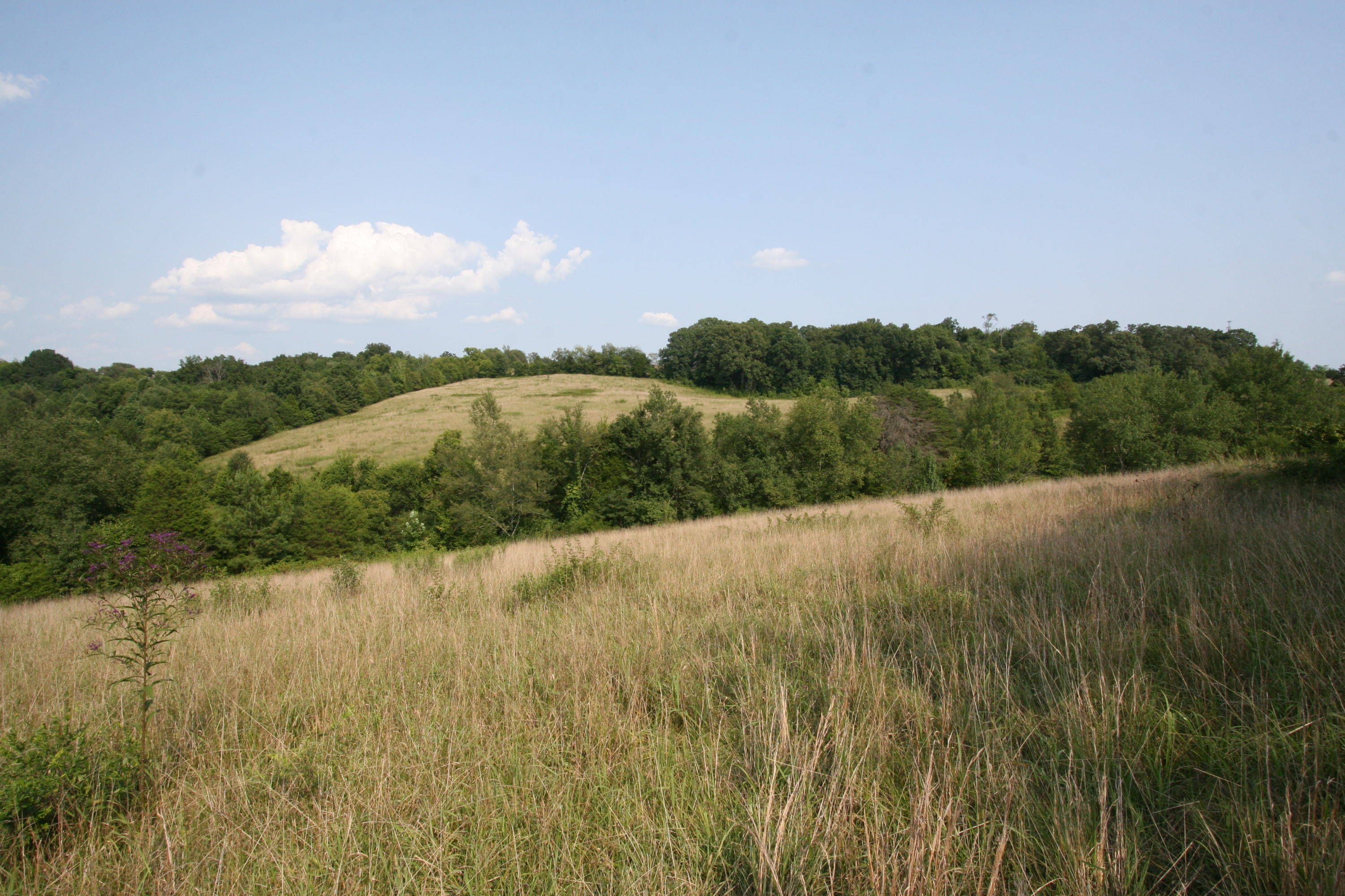 1265 Meadow Road Greenback, TN 37742 - Photo 21 of 40 IMG_9833