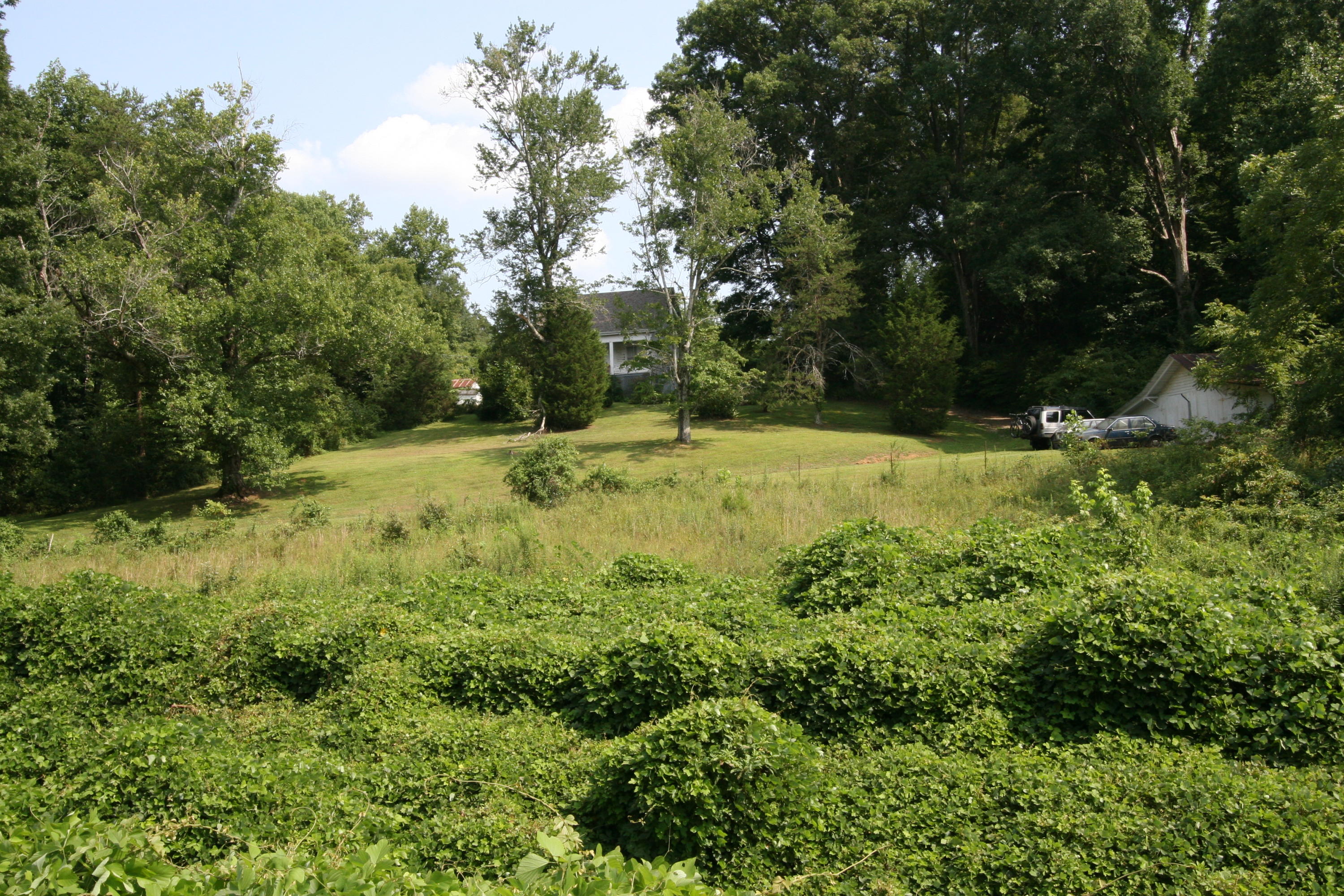 1265 Meadow Road Greenback, TN 37742 - Photo 24 of 40 IMG_9766