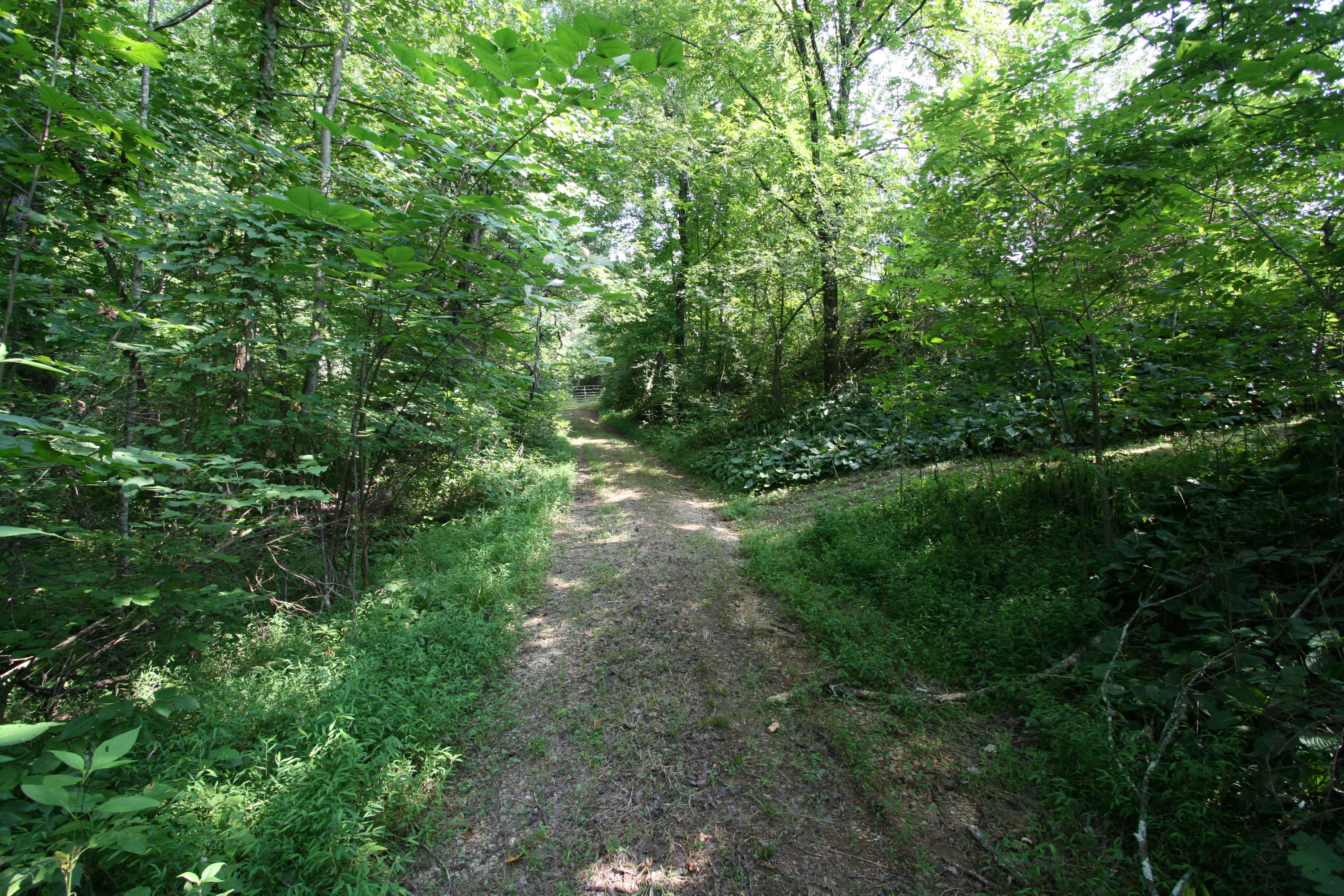1265 Meadow Road Greenback, TN 37742 - Photo 30 of 40 IMG_9820