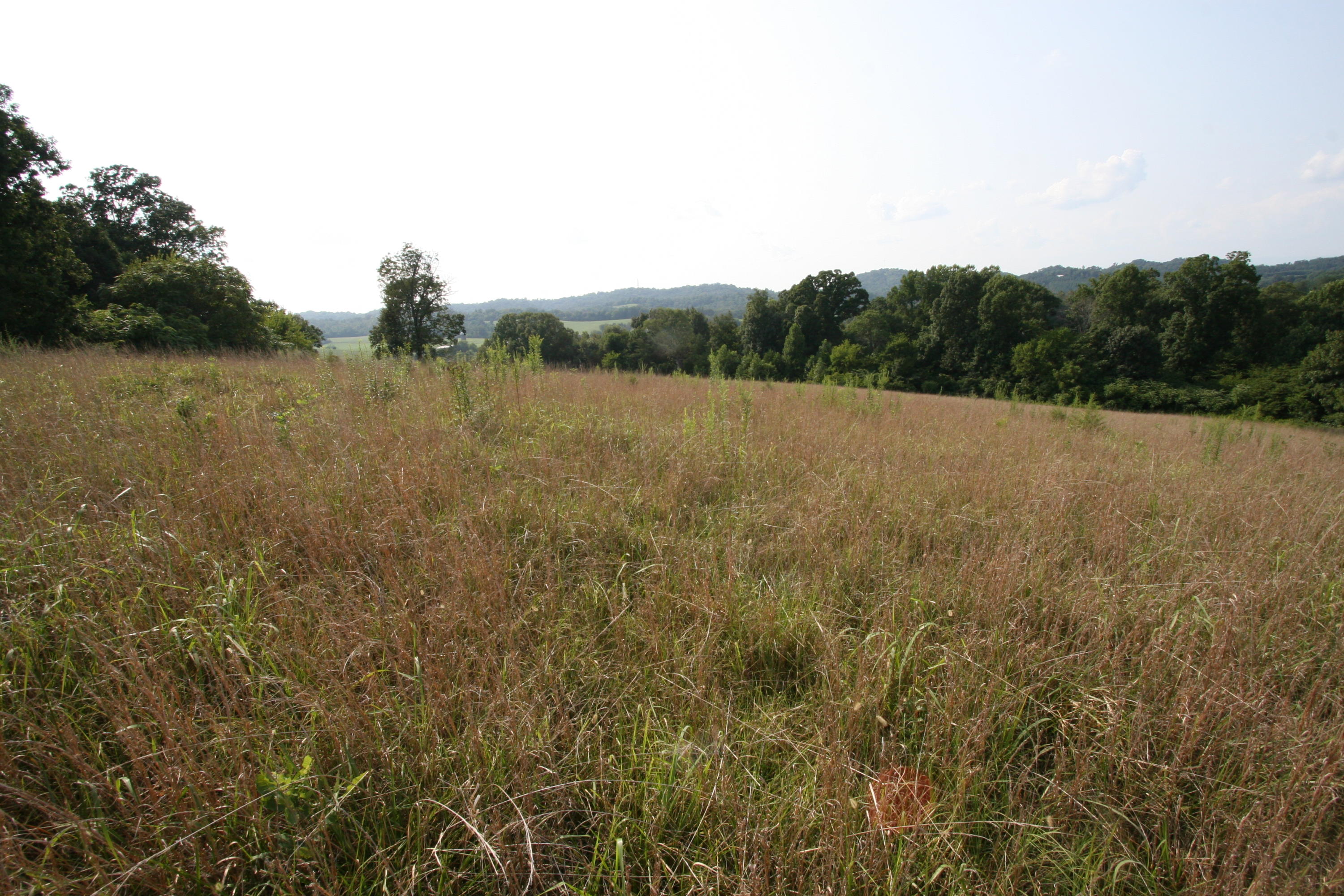 1265 Meadow Road Greenback, TN 37742 - Photo 32 of 40 IMG_9848