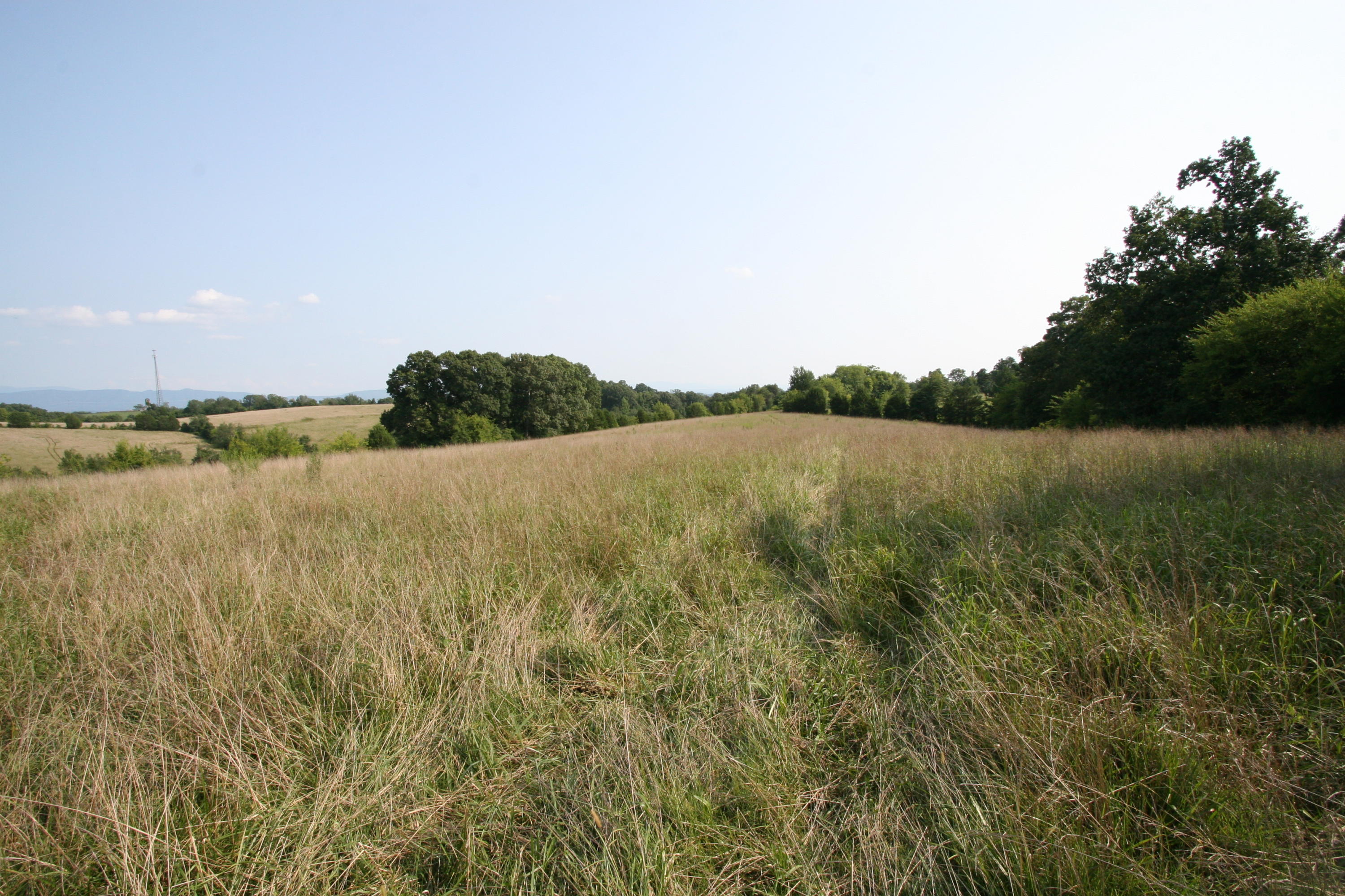 1265 Meadow Road Greenback, TN 37742 - Photo 34 of 40 IMG_9853