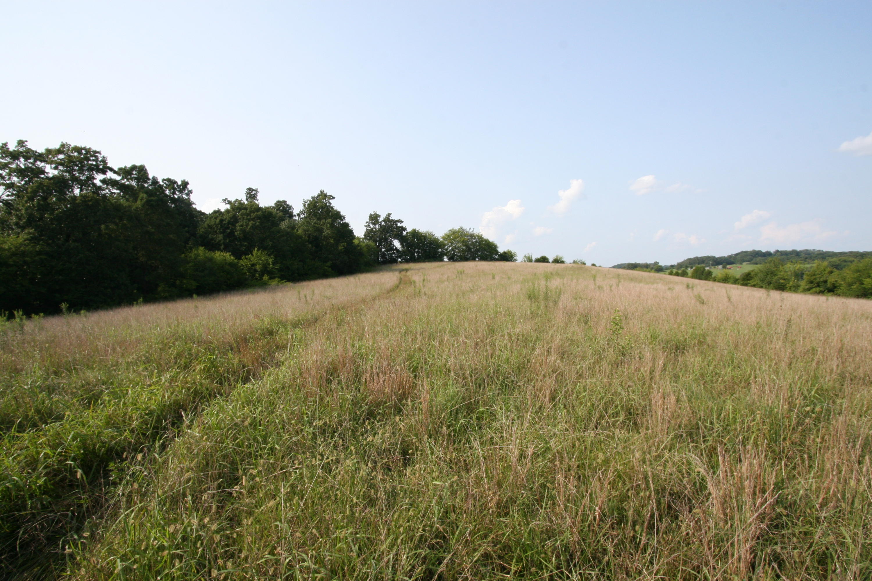 1265 Meadow Road Greenback, TN 37742 - Photo 35 of 40 IMG_9861