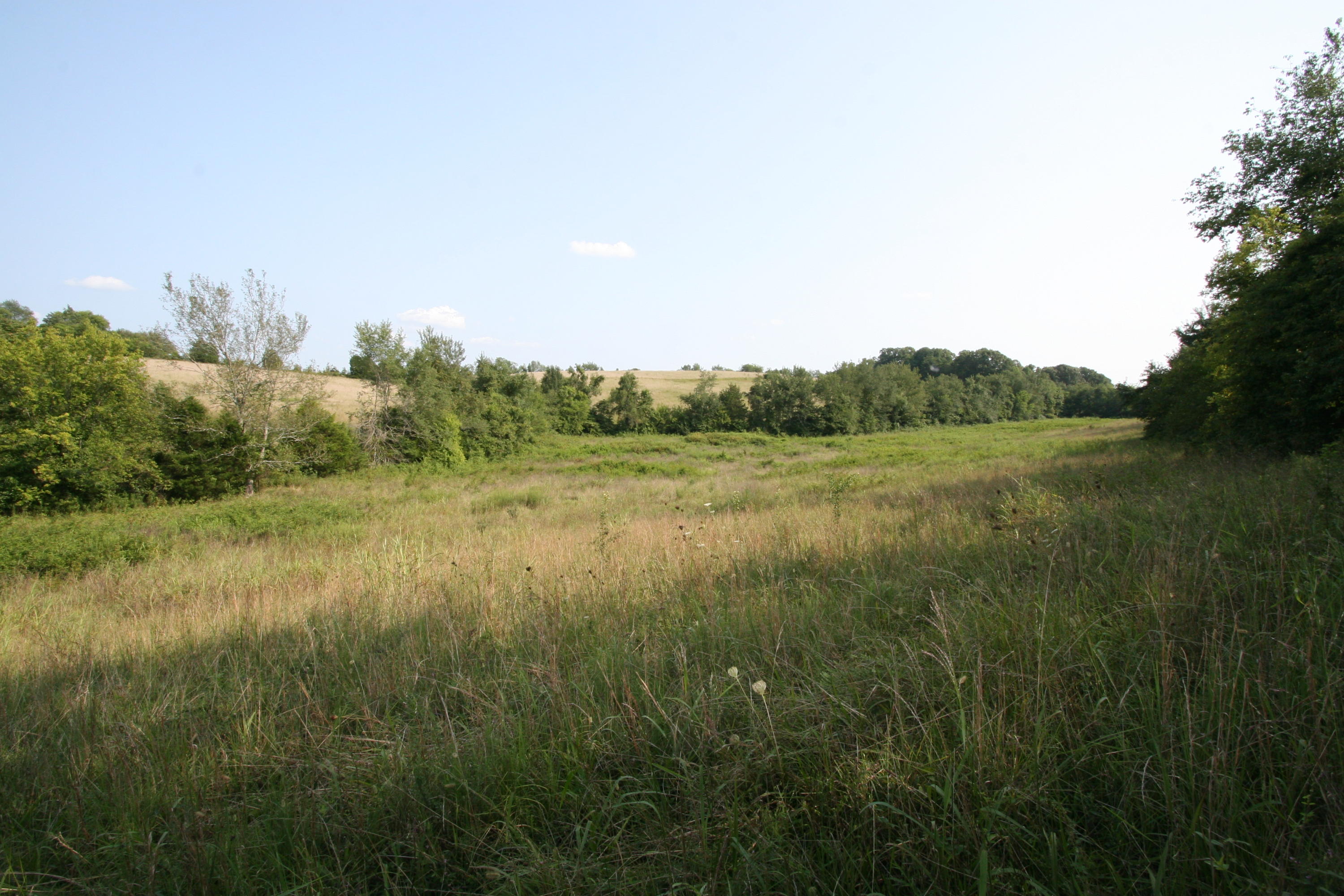 1265 Meadow Road Greenback, TN 37742 - Photo 36 of 40 IMG_9865
