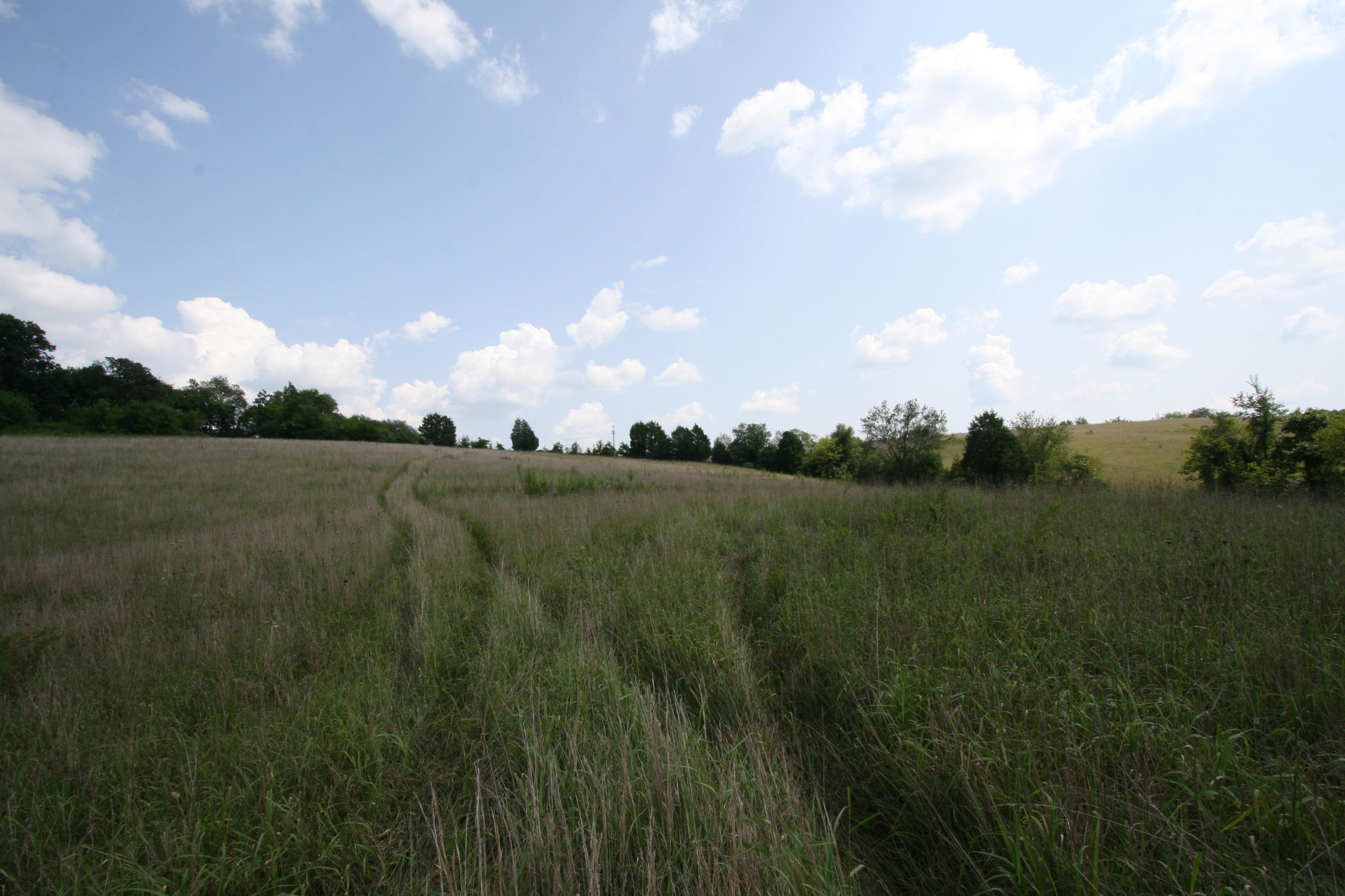1265 Meadow Road Greenback, TN 37742 - Photo 7 of 40 IMG_9870