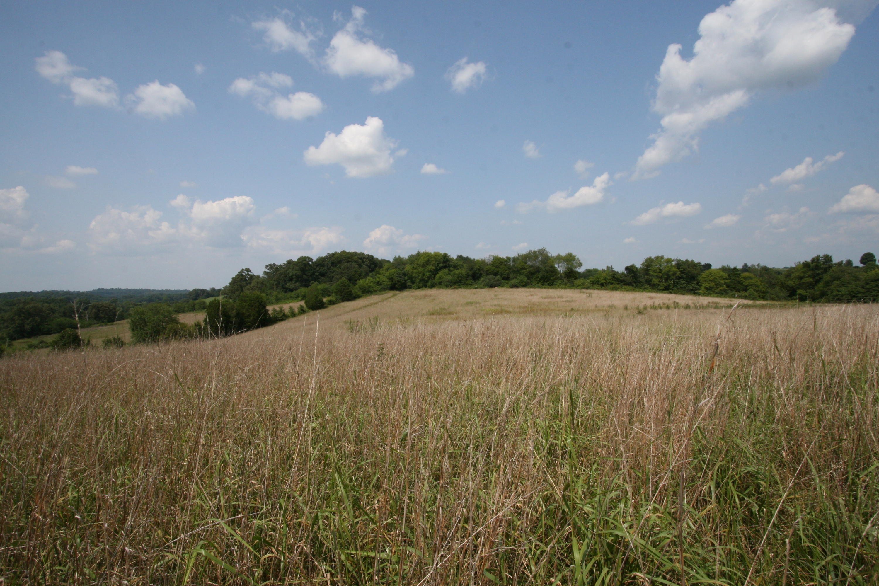 1265 Meadow Road Greenback, TN 37742 - Photo 10 of 40 IMG_9884