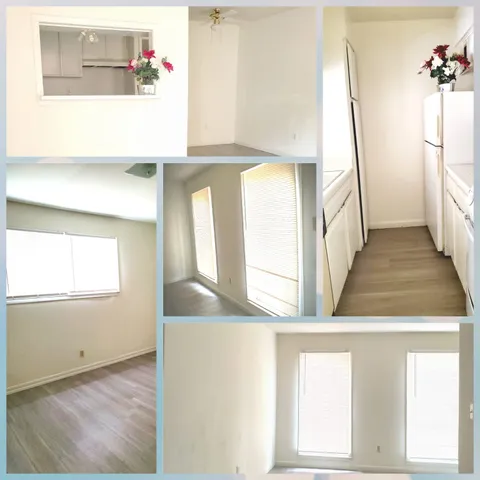 a view of a hallway with windows and flowers