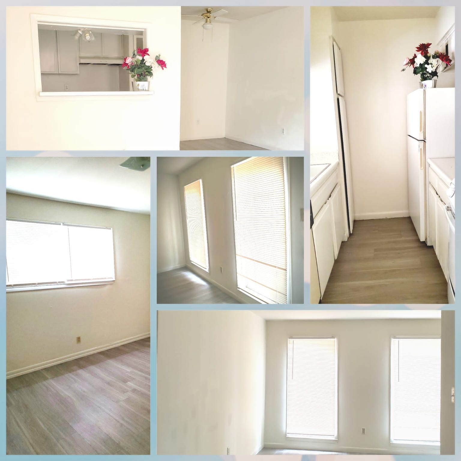 3003 Broadway Street Houston, TX 77017 - Photo 5 of 6 a view of a hallway with windows and flowers