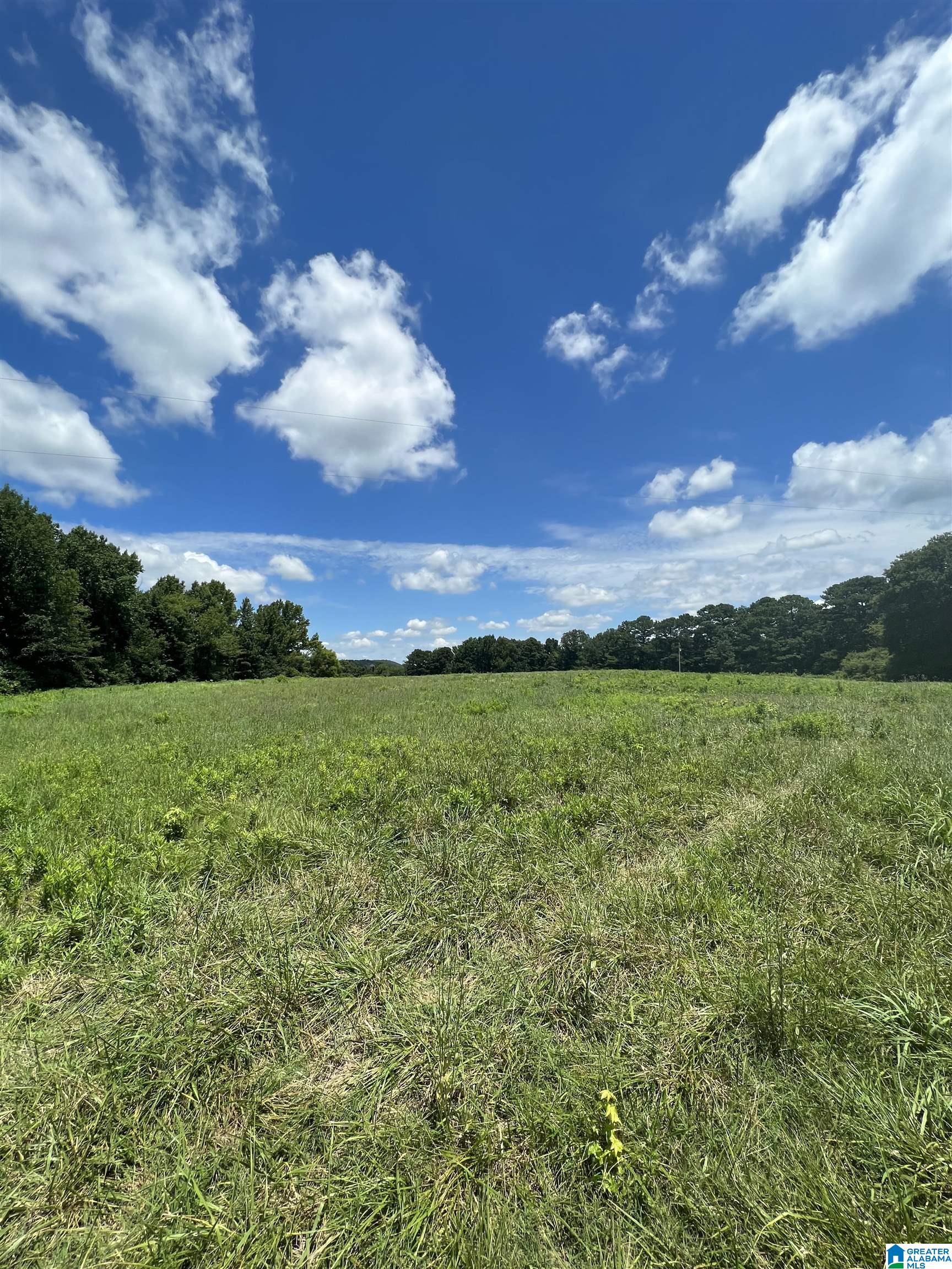 0 County Road 24, Unit 1 Springville, AL 35146 - Photo 4 of 8