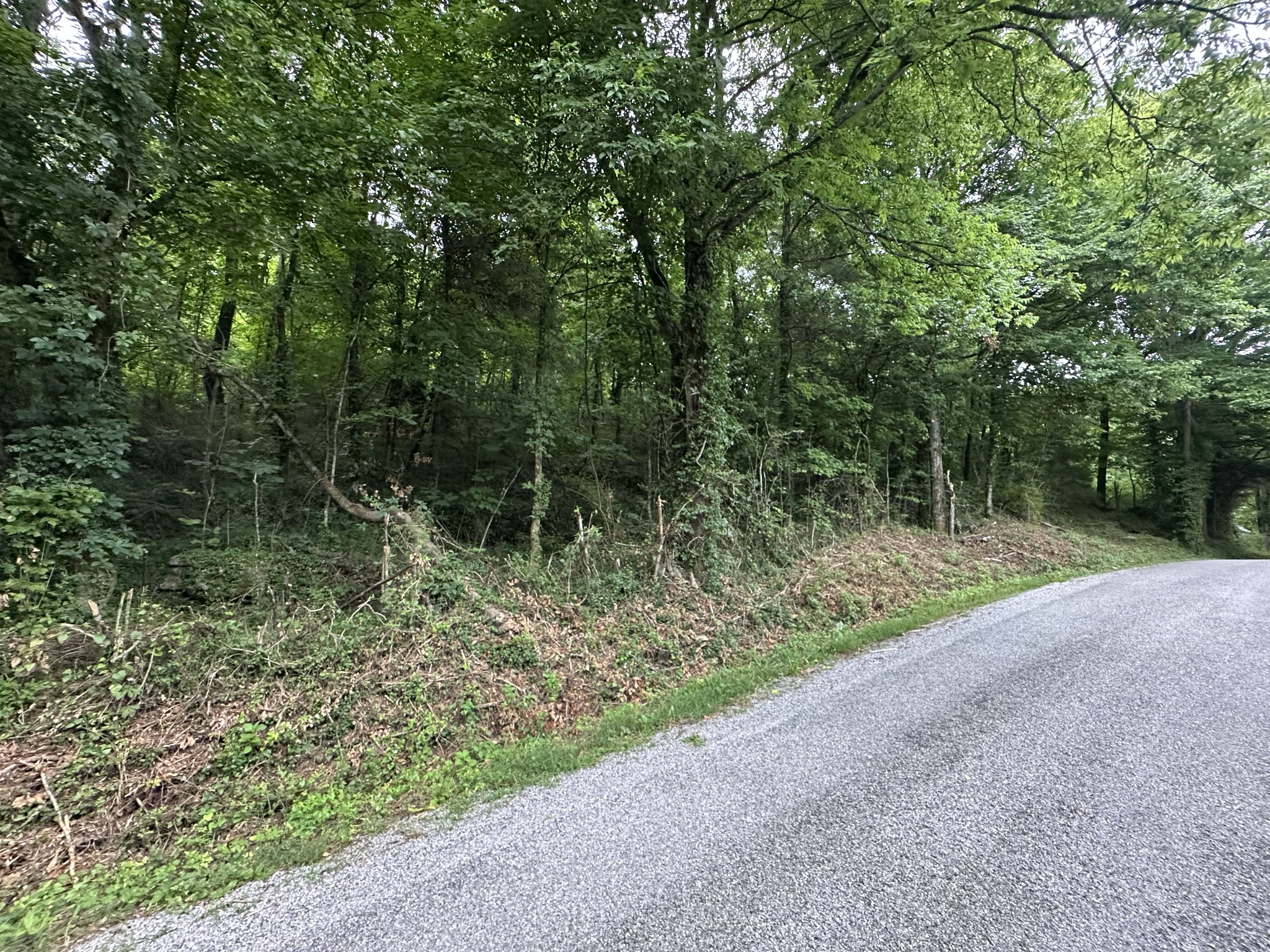17 Hackett Valley Road Hickman, TN 38567 - Photo 6 of 9