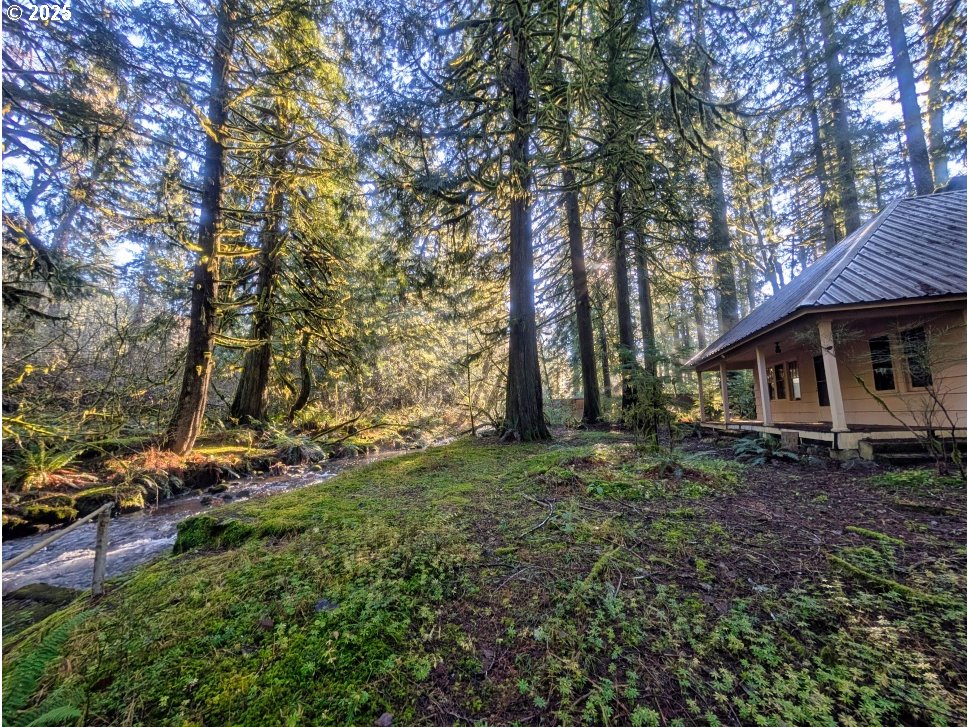 26870 East Chinook Lane Rhododendron, OR 97049 - Photo 2 of 37 Gallery Image 2