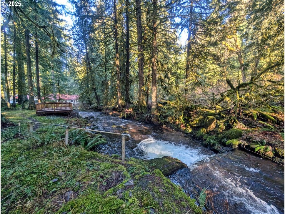 26870 East Chinook Lane Rhododendron, OR 97049 - Photo 7 of 37 Gallery Image 7
