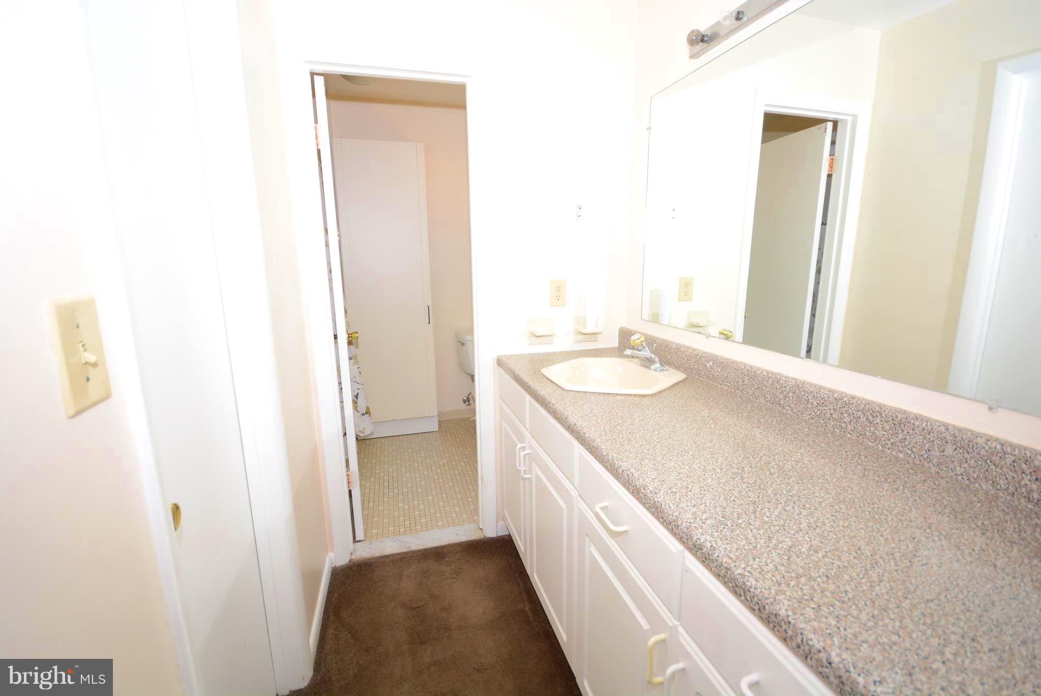 6239 Sunny Spring Columbia, MD 21044 - Photo 14 of 30 Bath