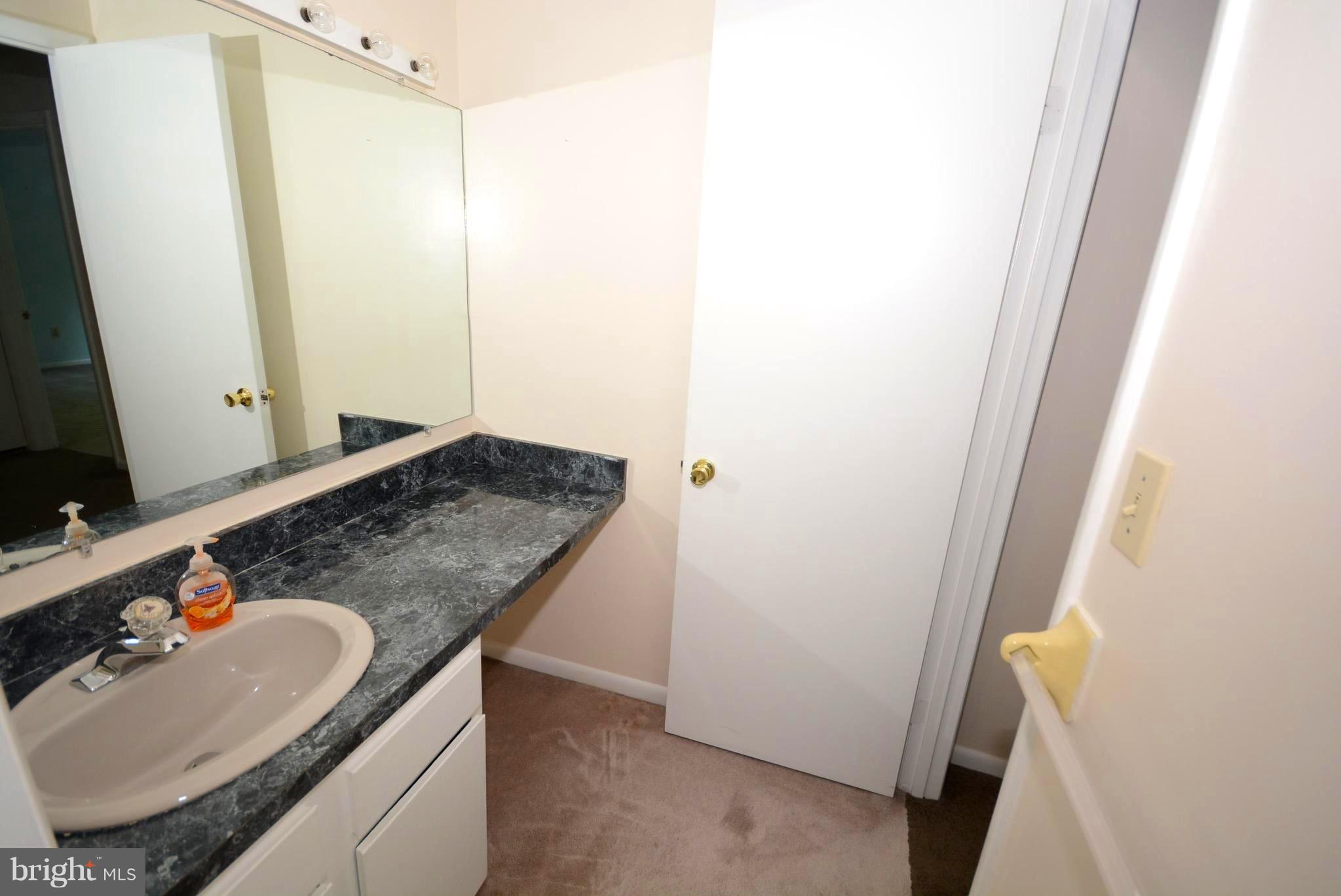 6239 Sunny Spring Columbia, MD 21044 - Photo 21 of 30 Bath