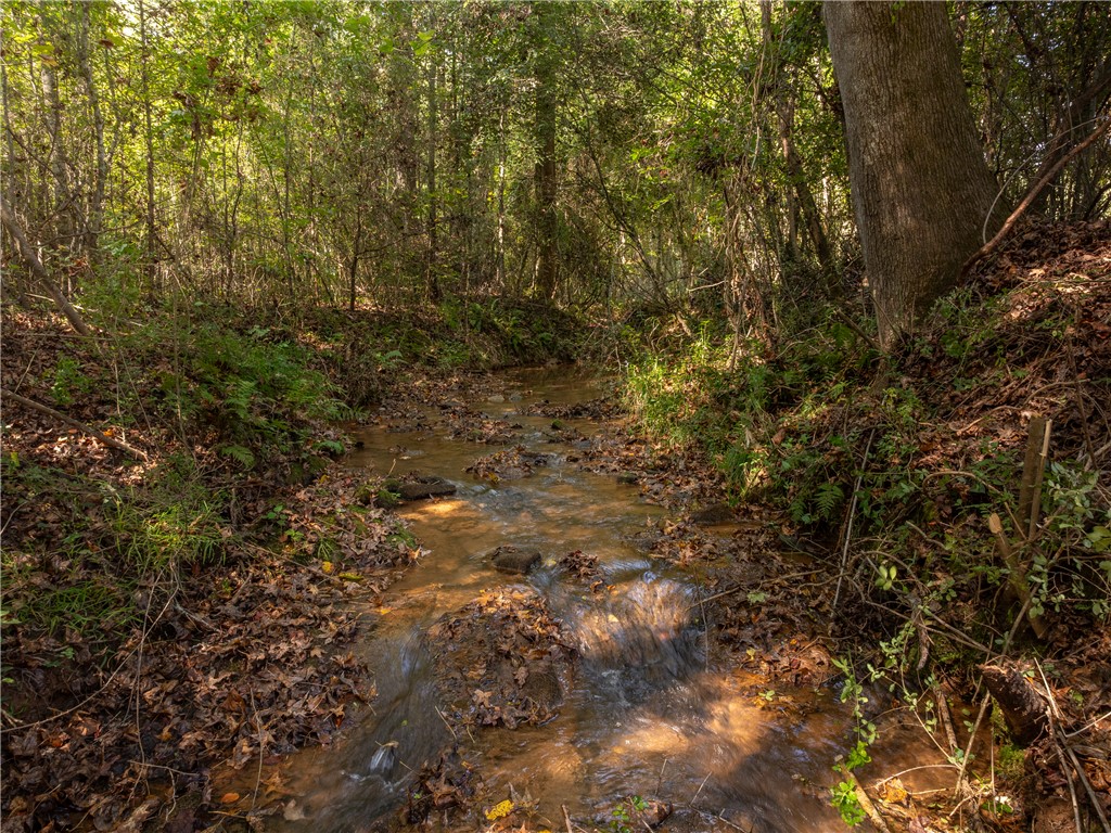 0 Lafrance Road Anderson, SC 29625 - Photo 11 of 26
