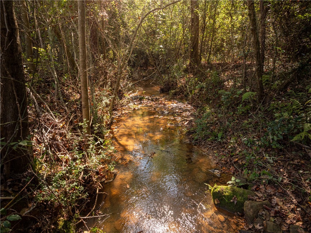 0 Lafrance Road Anderson, SC 29625 - Photo 13 of 26