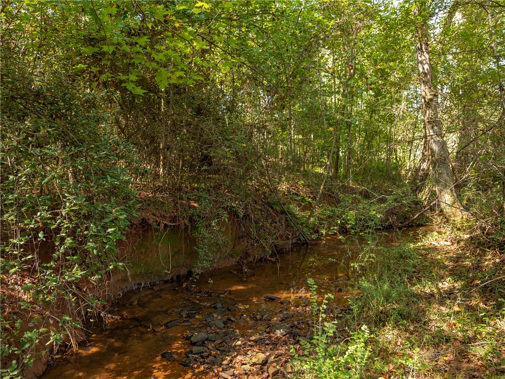 0 Lafrance Road Anderson, SC 29625 - Photo 17 of 26