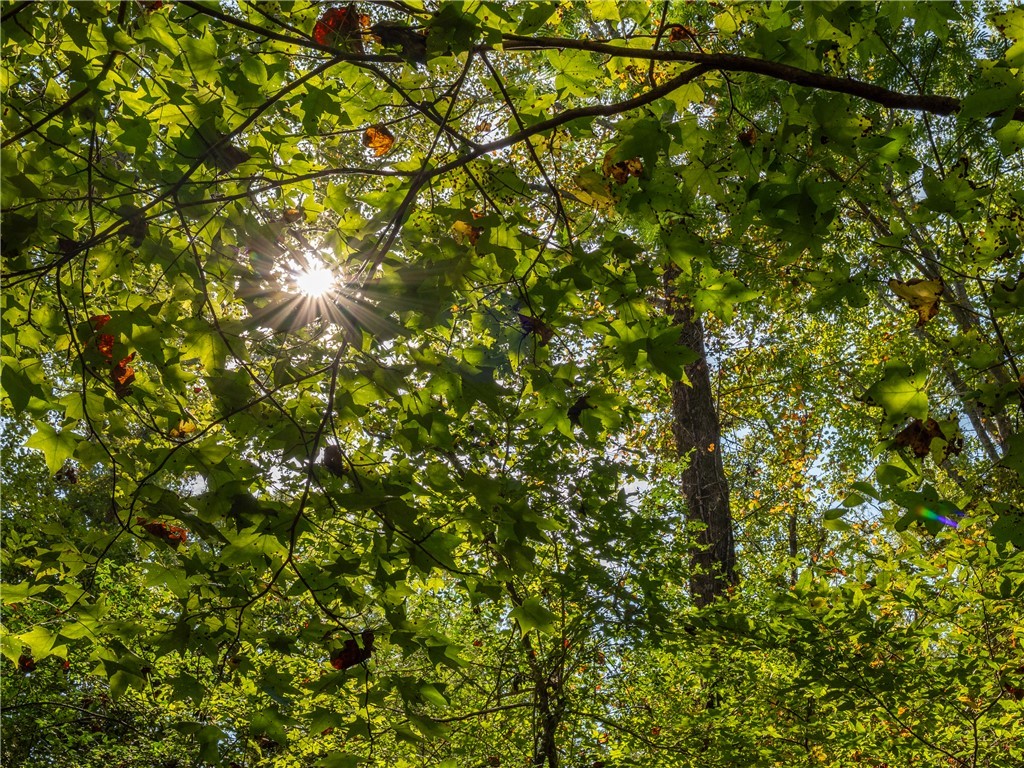 0 Lafrance Road Anderson, SC 29625 - Photo 18 of 26