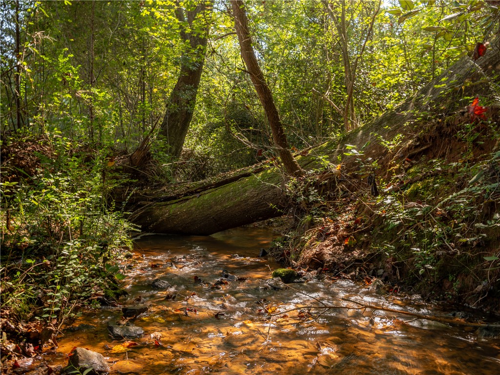 0 Lafrance Road Anderson, SC 29625 - Photo 19 of 26