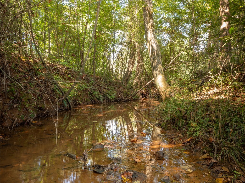 0 Lafrance Road Anderson, SC 29625 - Photo 20 of 26