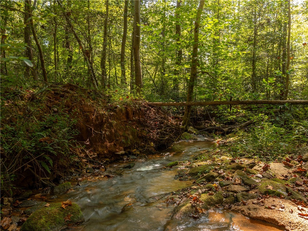 0 Lafrance Road Anderson, SC 29625 - Photo 22 of 26