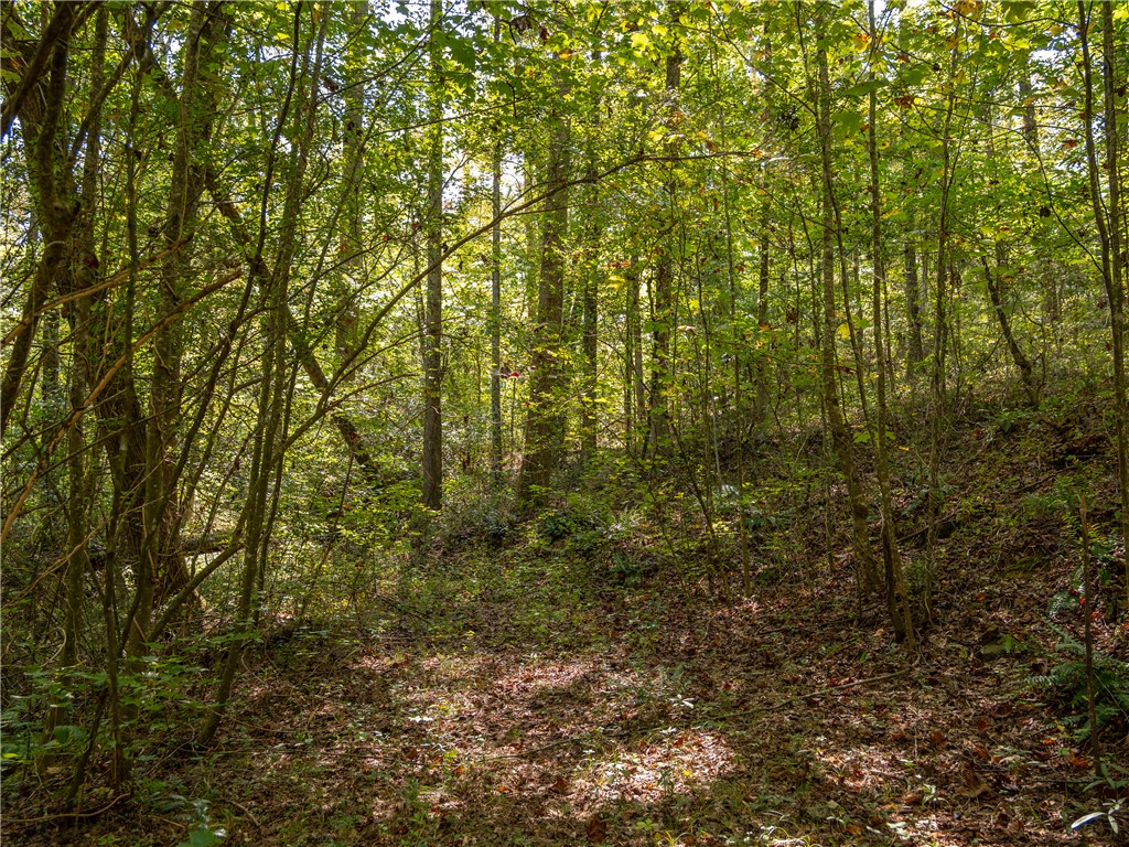 0 Lafrance Road Anderson, SC 29625 - Photo 23 of 26