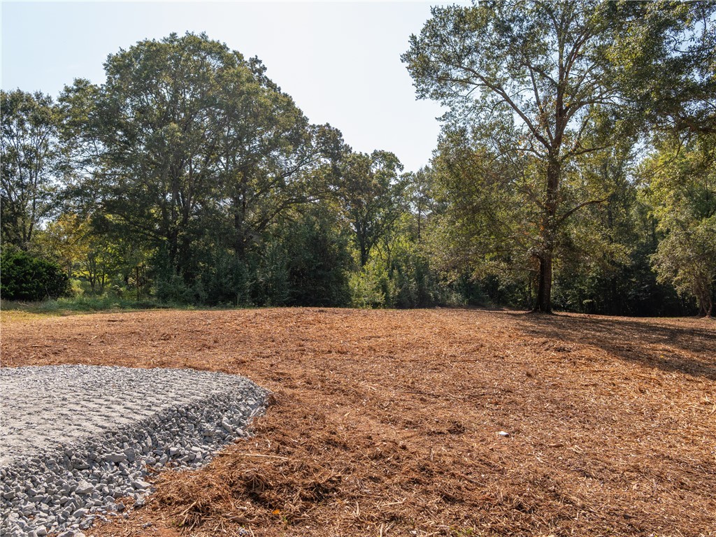 0 Lafrance Road Anderson, SC 29625 - Photo 3 of 26