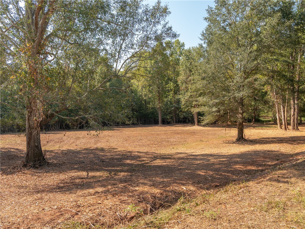 0 Lafrance Road Anderson, SC 29625 - Photo 4 of 26