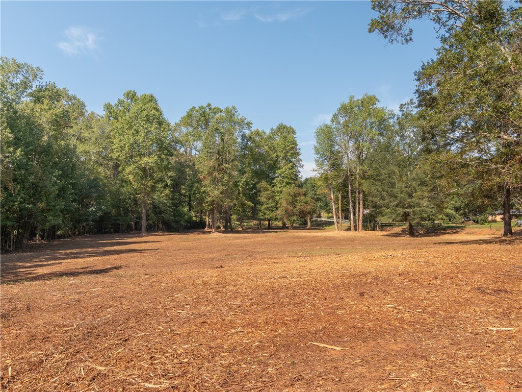 0 Lafrance Road Anderson, SC 29625 - Photo 5 of 26