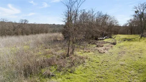 a view of a dry yard with trees