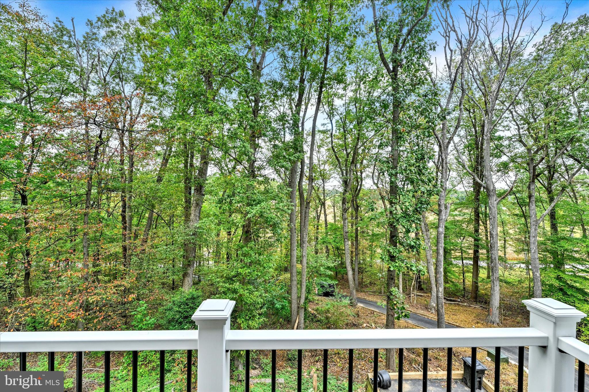 5437 Glen Arm Road Glen Arm, MD 21057 - Photo 33 of 45 a view of a white and red tree