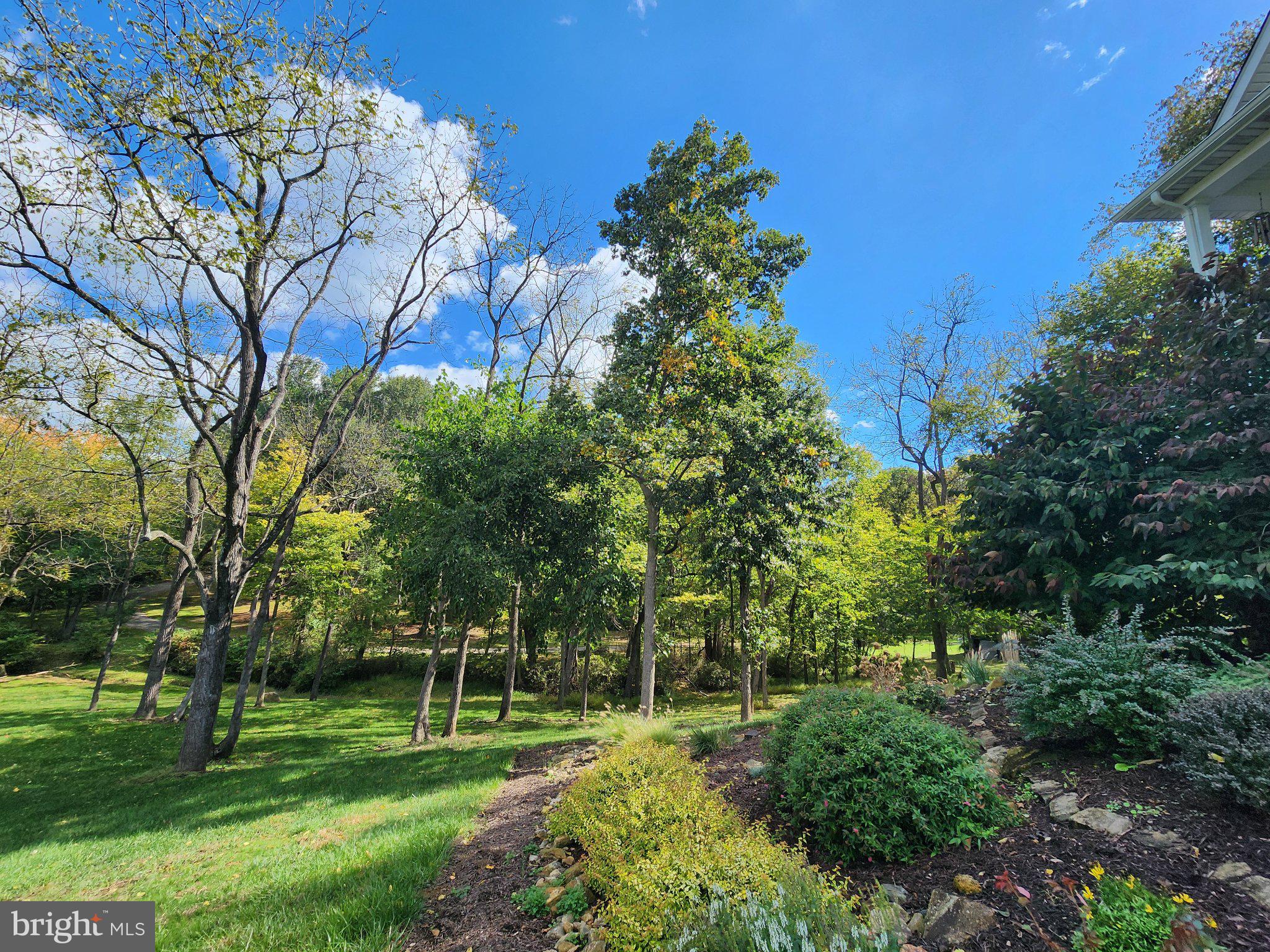 37682 Cooksville Road Purcellville, VA 20132 - Photo 15 of 25 Gorgeous, quiet setting