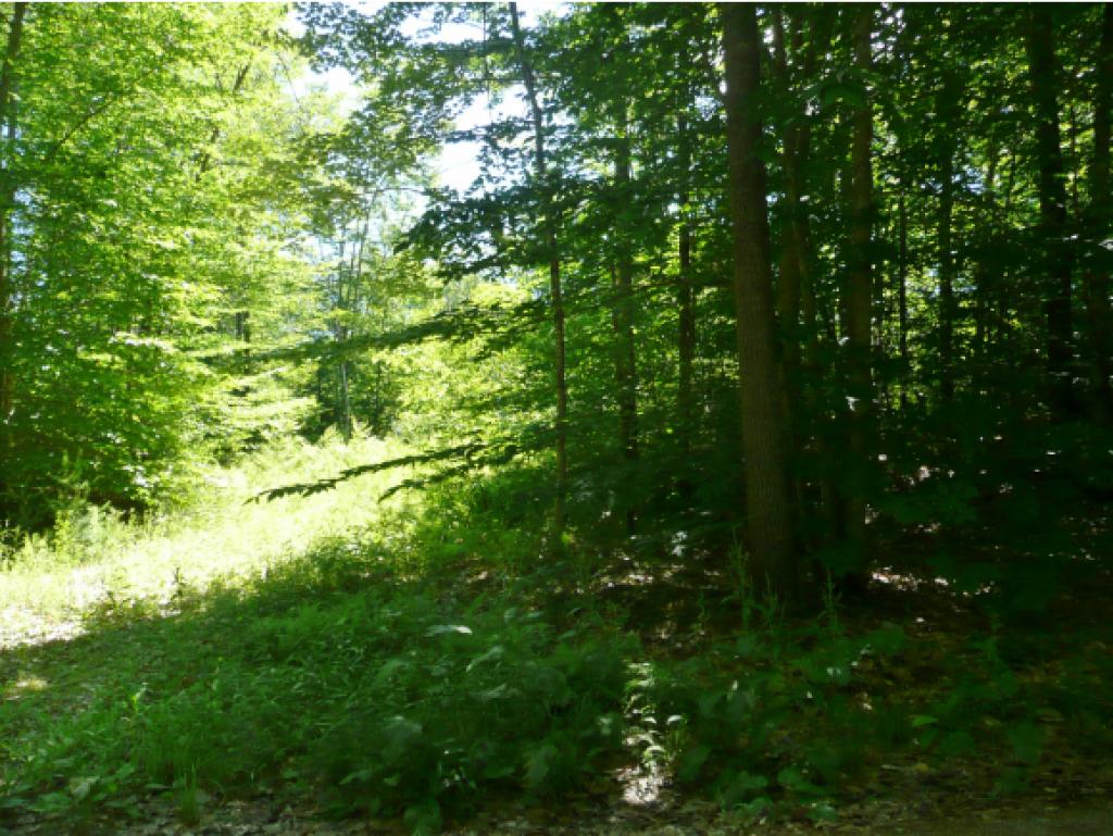 0 Lake Road Hillsborough, NH 03244 - Photo 11 of 11