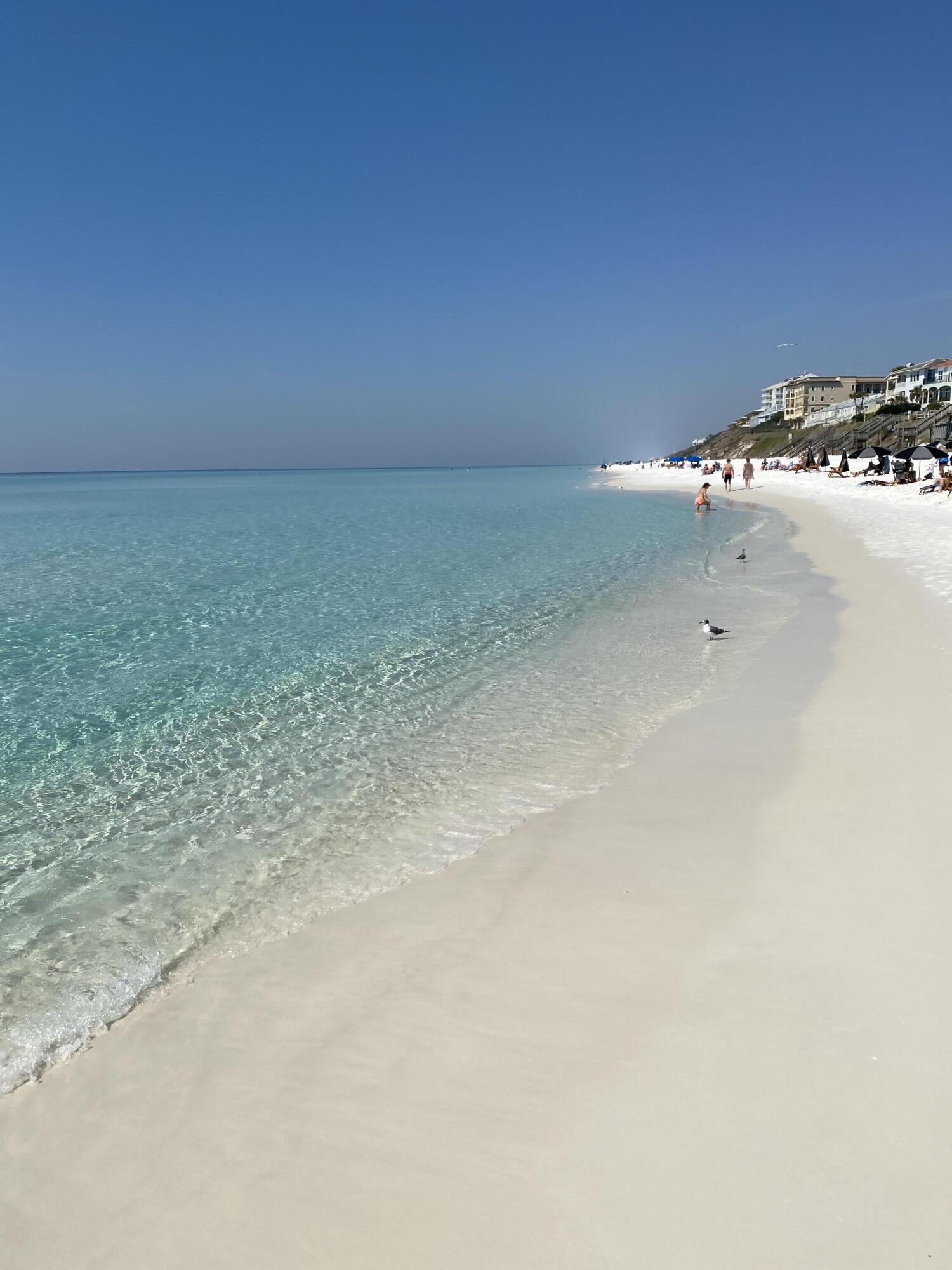 28 Sandcastle Court Santa Rosa Beach, FL 32459 - Photo 2 of 78