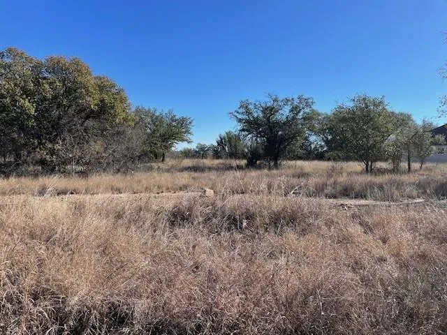 a view of a dry field