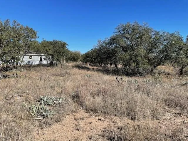 a view of a dry yard with trees